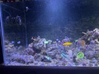 IMG_1026-compressed.jpeg