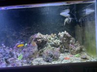 IMG_1025-compressed.jpeg