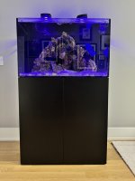 IMG_1853.jpeg