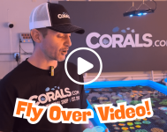 Fly Over Video!.png