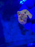 IMG_2294.jpeg