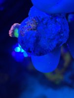 IMG_2292.jpeg