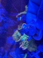 IMG_2290.jpeg