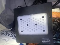 IMG_5073.jpeg