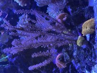 IMG_6364.jpeg