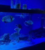 IMG_1265.jpeg
