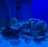 IMG_1263.jpeg