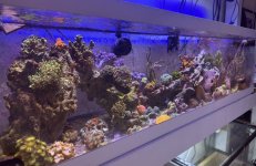 IMG_5227.jpeg