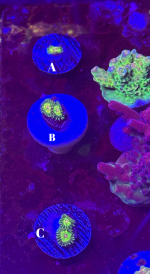 1750565019.6798239-AC781FE3-43C4-4021-8C76-F21F12CF78BF.png