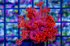 DSC07198.jpg