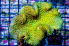 DSC07255.jpg
