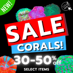 sale poster(21).png