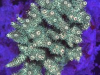 IMG_5818.jpeg