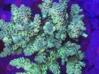 IMG_5816.jpeg