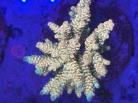 IMG_5811.jpeg