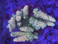 IMG_5809.jpeg