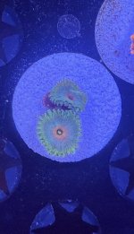 IMG_1142.jpeg