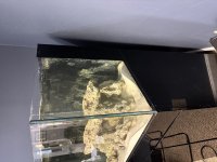 IMG_0350.jpeg