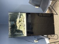 IMG_0347.jpeg
