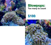 Blowpops.jpg