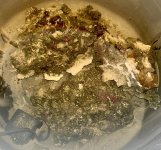 IMG_5953.jpeg