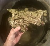 IMG_5965.jpeg