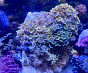 IMG_6027.jpeg
