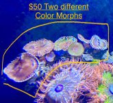 IMG_6075.jpeg