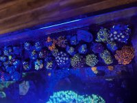 IMG_0744.jpeg