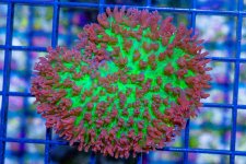 DSC07679.jpg
