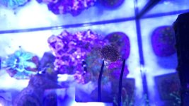 20250708_140301.jpg