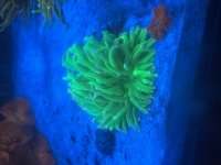 IMG_2416.jpeg