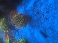 IMG_2419.jpeg