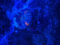 IMG_2420.jpeg