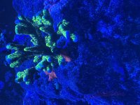 IMG_2429.jpeg