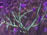 IMG_1465.JPG