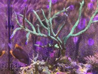 IMG_1467.JPG