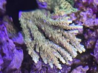 IMG_2487.JPG