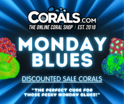 Blues 25'(3).png
