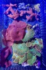 IMG_6213.jpeg