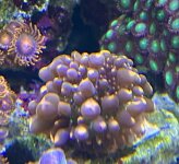 IMG_6199.jpeg