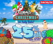 Christmas in July 2025(1).png