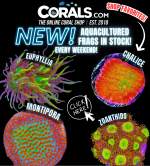new aquaculture(14).png
