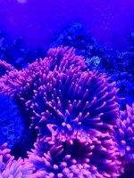 IMG_7517.jpg