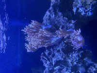 IMG_6274.jpeg