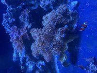 IMG_6276.jpeg