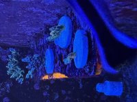 IMG_9663.jpeg