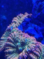 IMG_2266.jpeg
