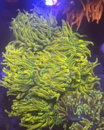 1753713314222.png