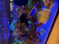 IMG_1464.jpg